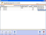NATURASOFT Készlet és Számla Standard képernyő - Készletérték kimutatás