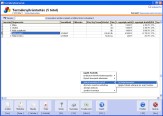 NATURASOFT Készlet és Számla Standard képernyő - Termék adatlapja