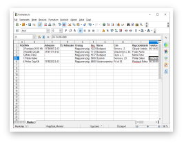 Adatok elmentése XLS (Excel) fájlba
