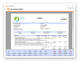 Krnyezetvdelmi termkdj helyes feltntetse a szmln