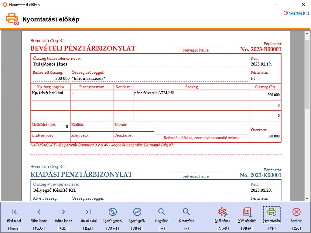 Pnztrbizonylat nyomtatsa