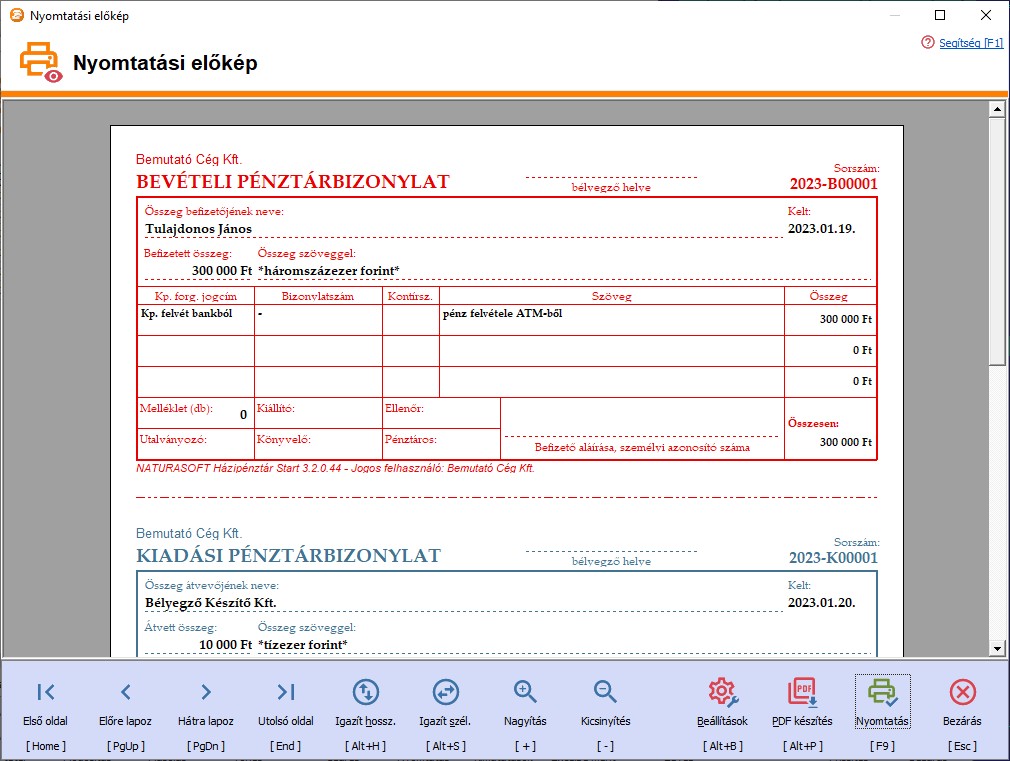 Pnztrbizonylat nyomtatsa